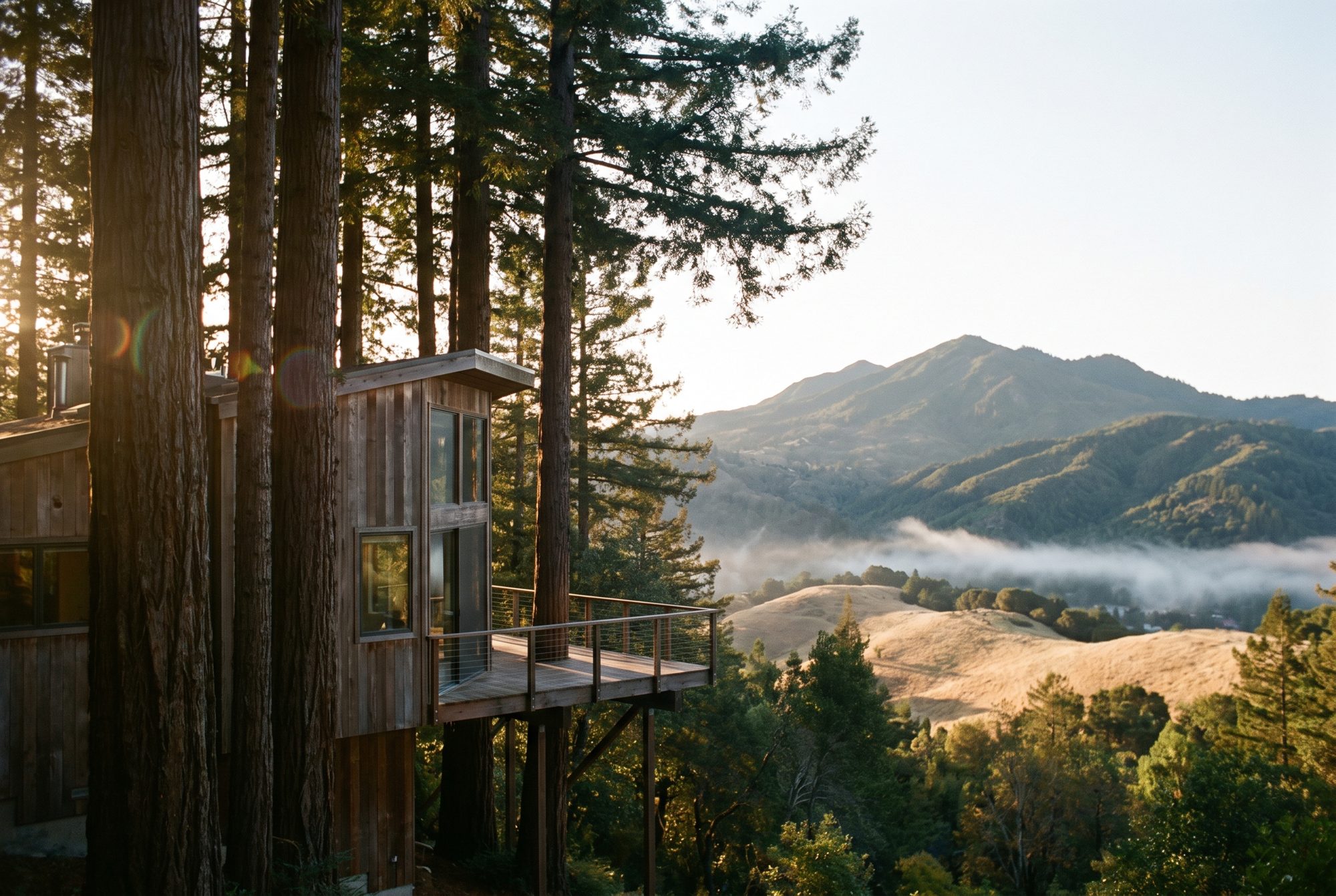 A modern wood-and-glass hillside home among coast redwoods in Marin County, with Mount Tamalpais and bay fog in the distance
